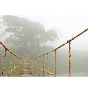 IKEA Wall Art Jungle Journey CANVAS ONLY 55”x39”